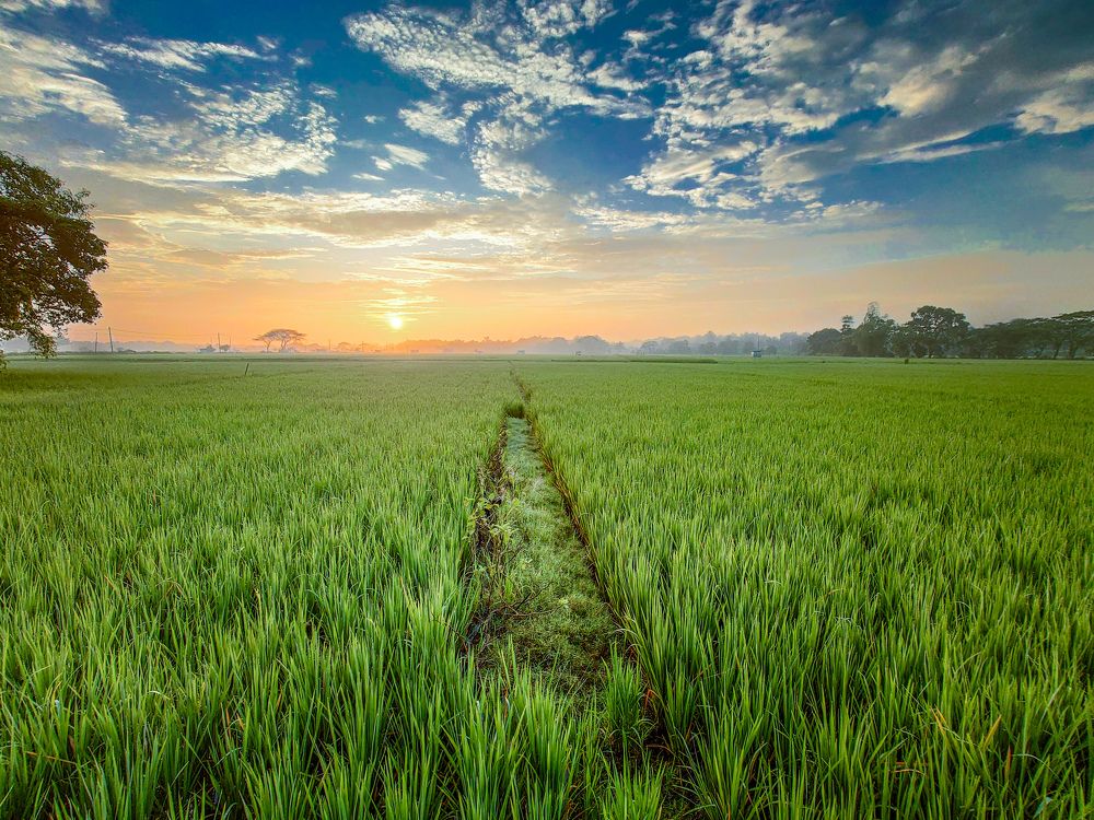 Photograph by Ivan Maulana
