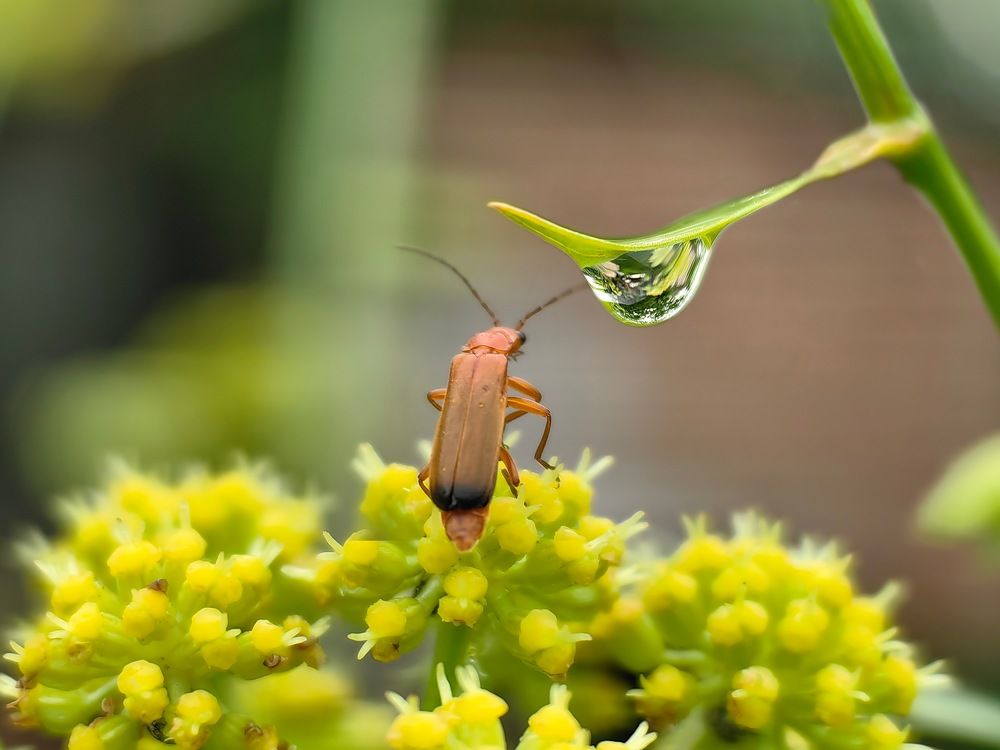 Photograph by Alen Brkić
