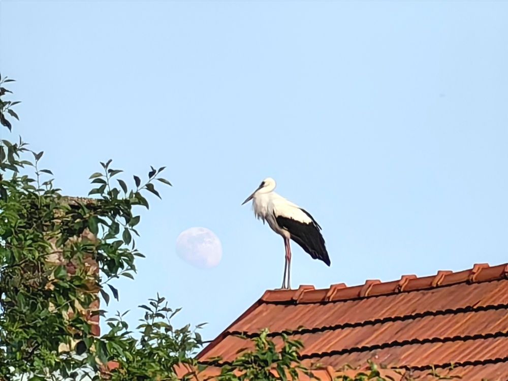 Photograph by Alen Brkić