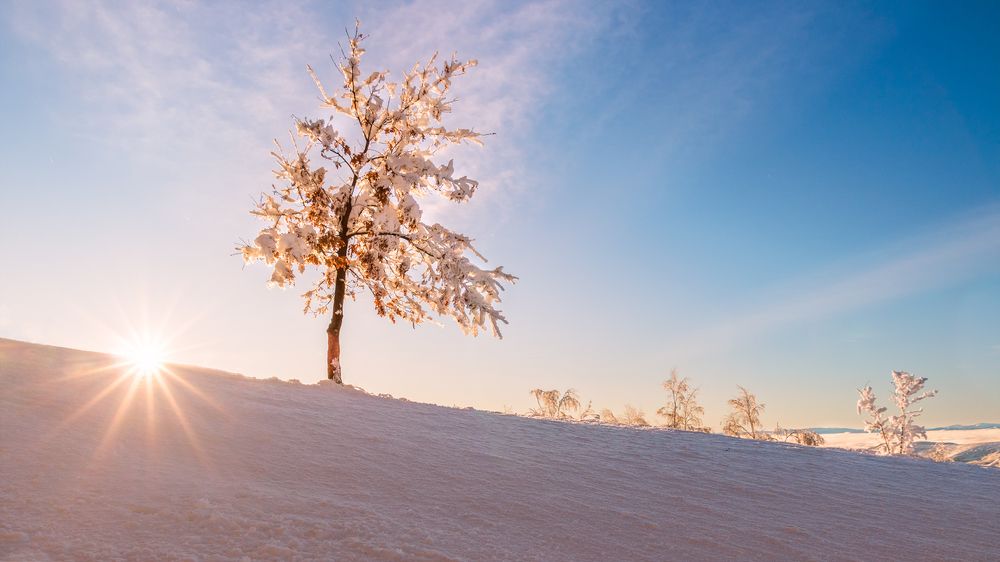 Lonely but not alone