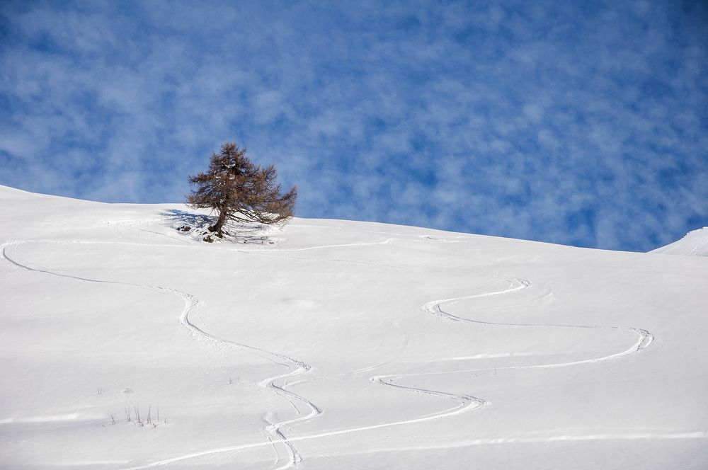 Photograph by Svetlana Rizzo