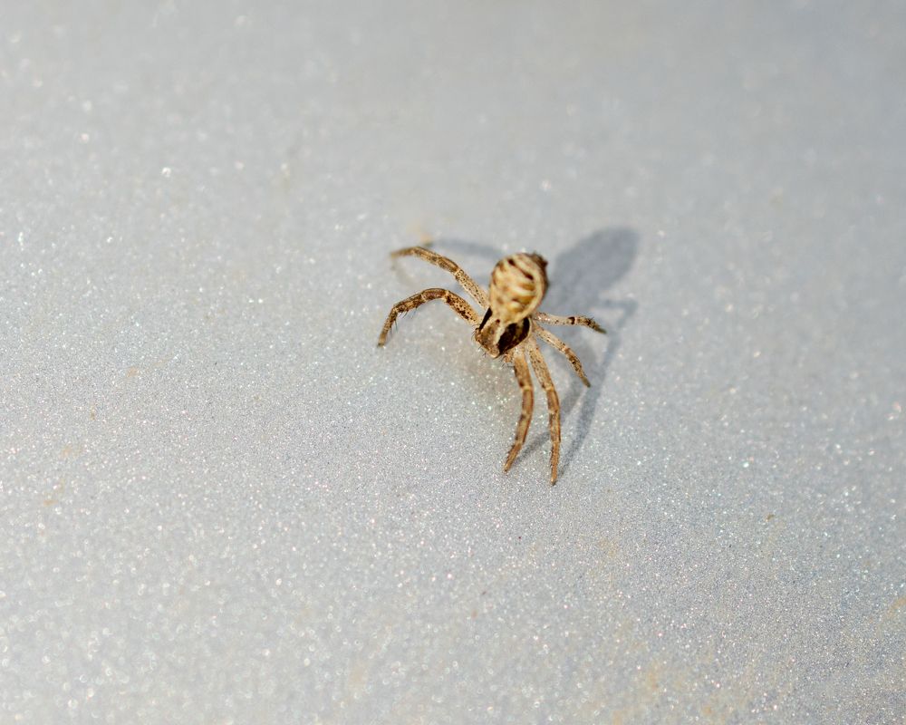 Photograph by Анжелика Сороколетова