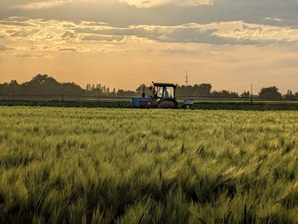 Photograph by Орынбек Асилбаев