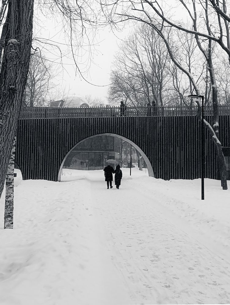 Фотография автора Анастасия Горбунова