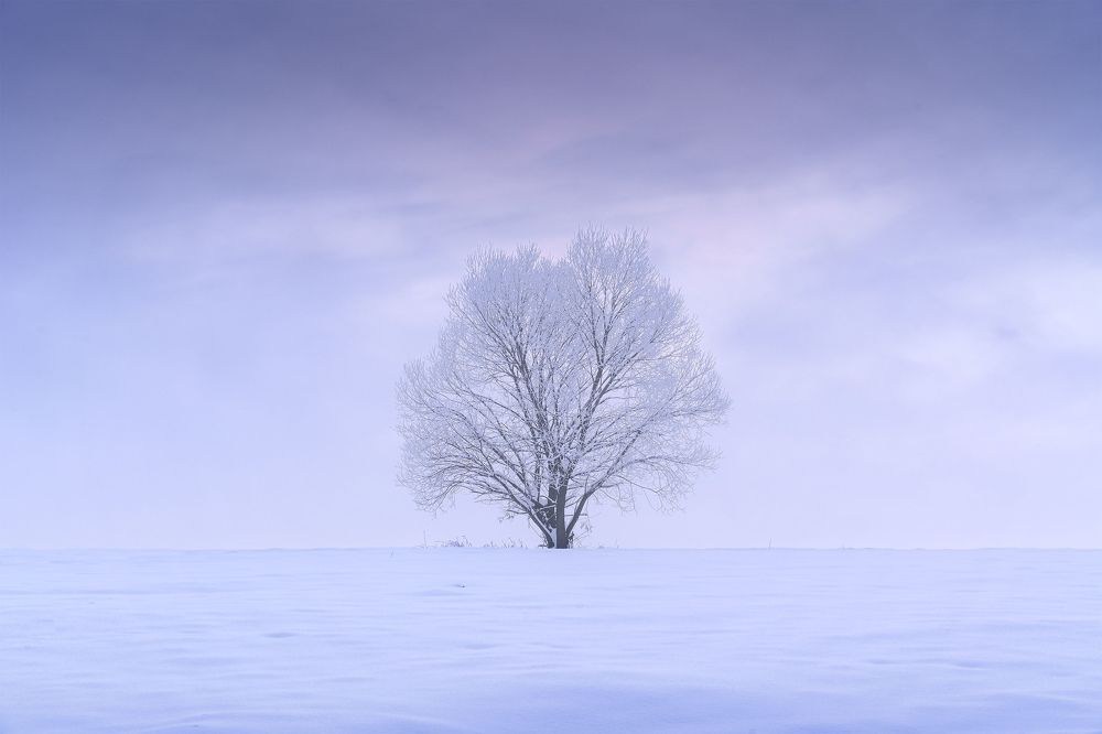 Фотография автора Peter Dužek