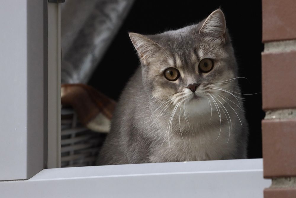 Photograph by Yana Egorova