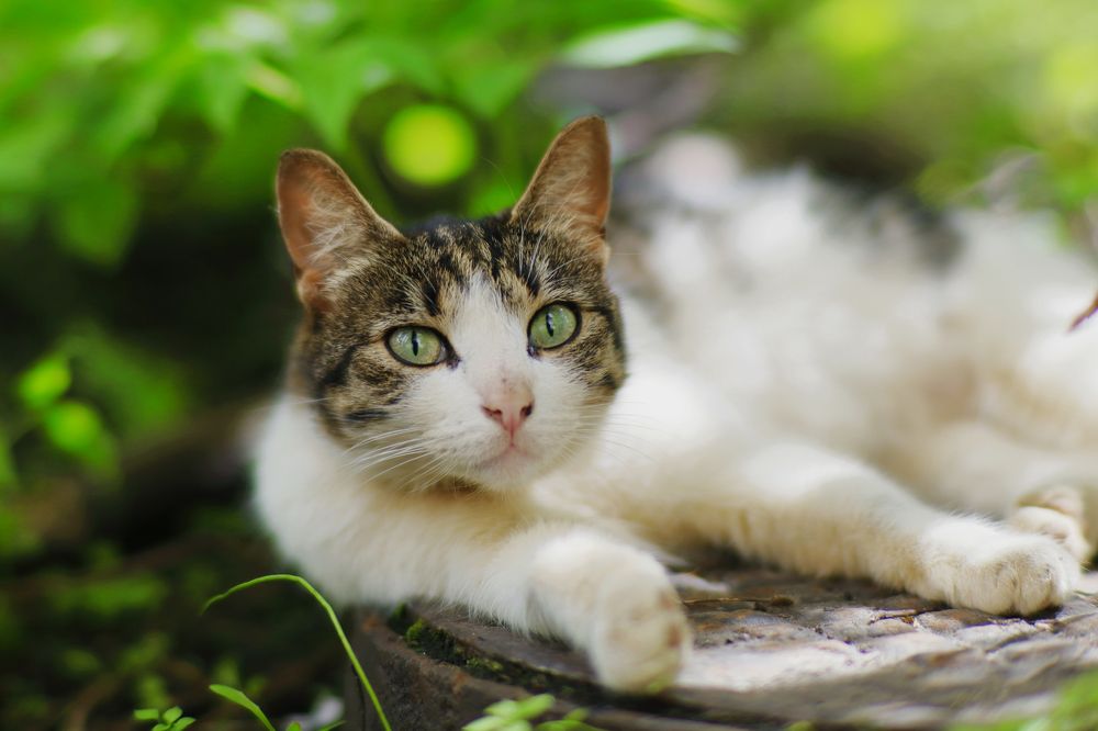 Photograph by Yana Egorova