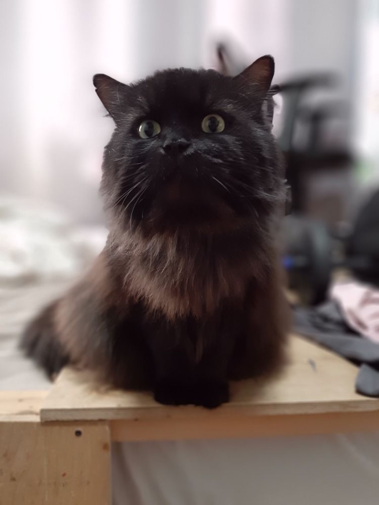 Фотография автора Дмитрий Нефёдов