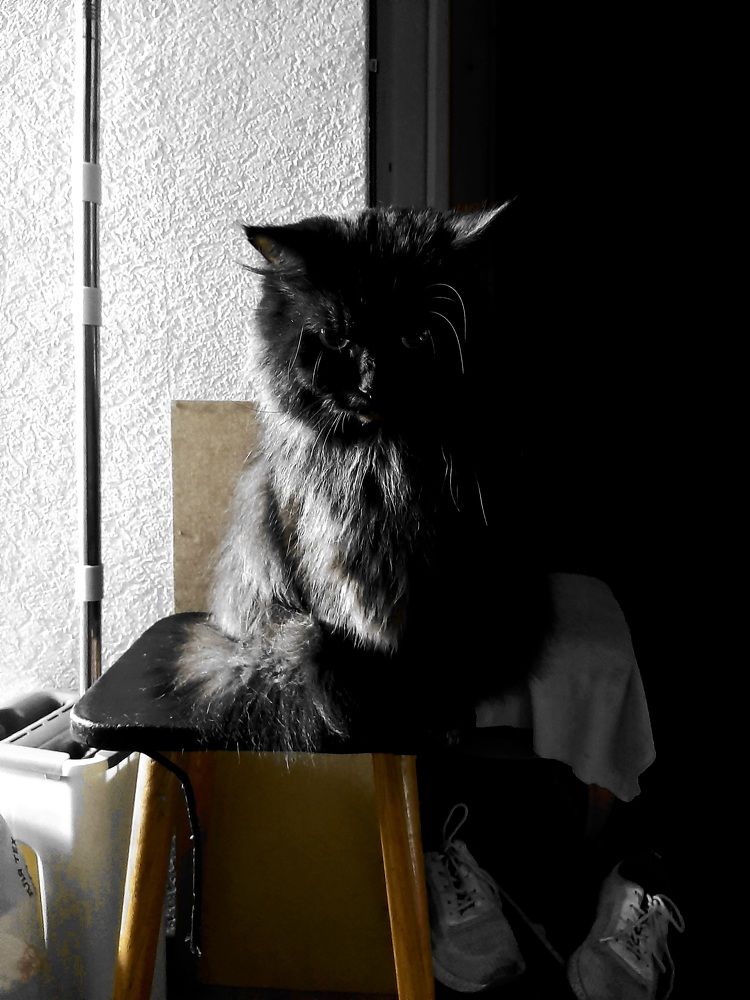 Фотография автора Дмитрий Нефёдов