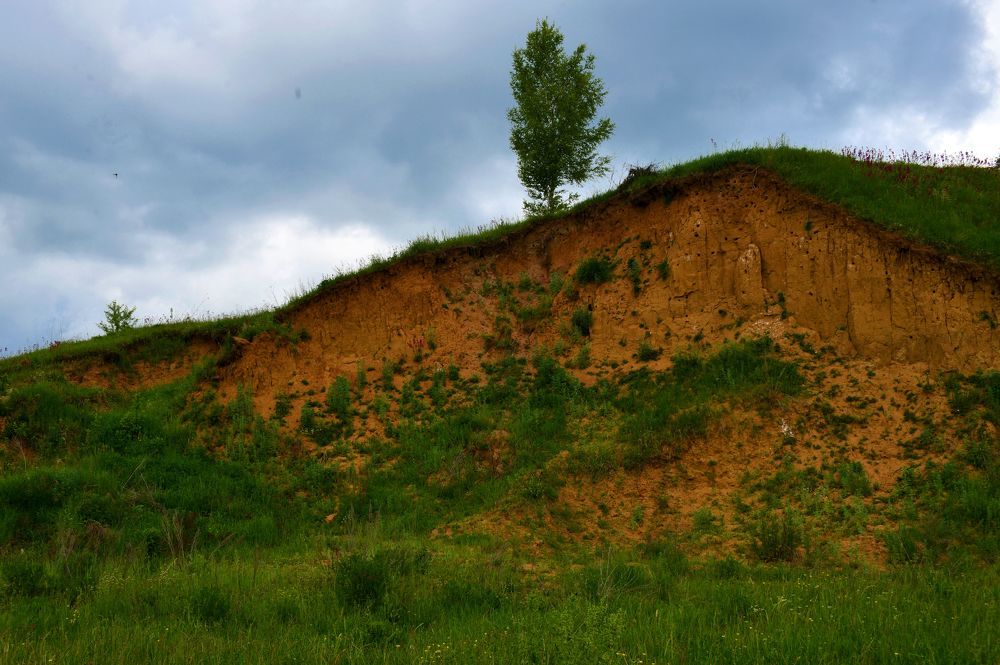 Photograph by Николай Абакумов