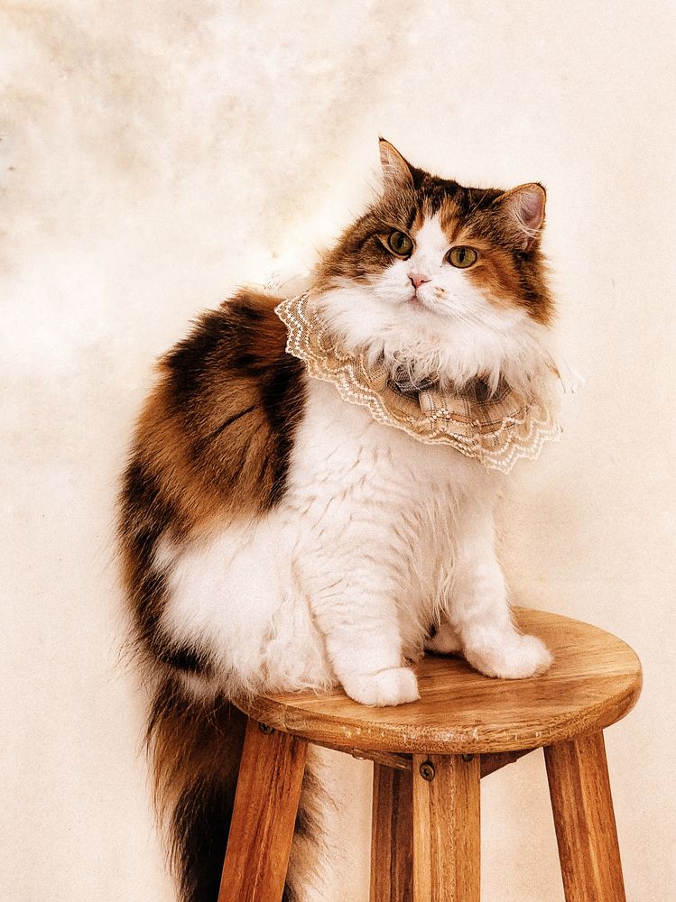 Photograph by Юлия Козина