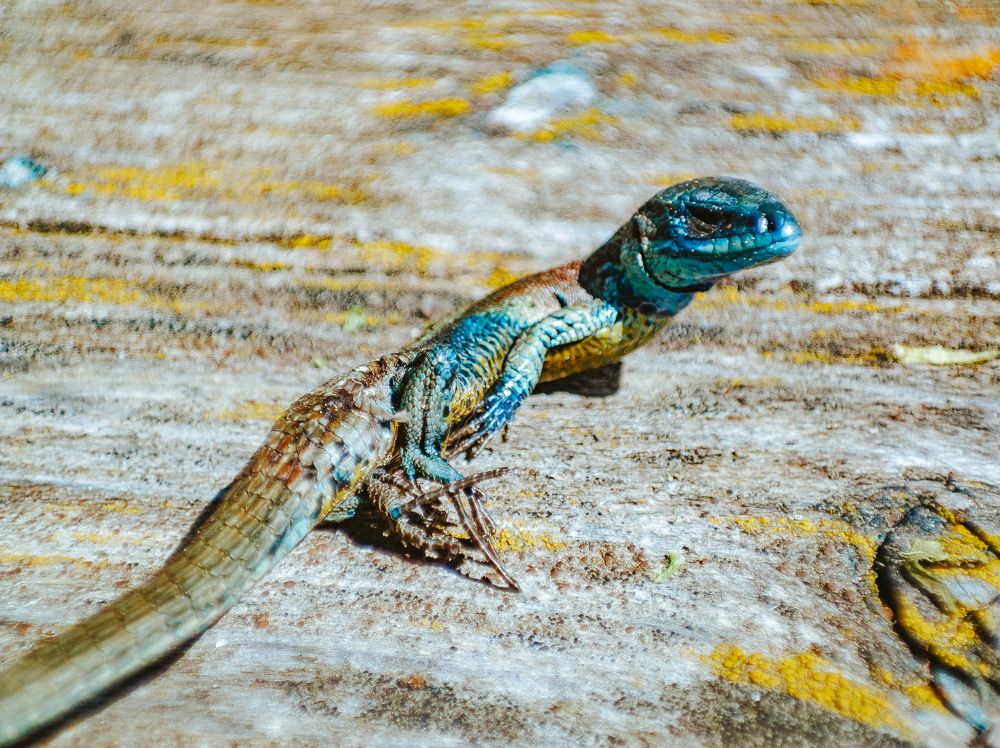 Фотография автора Александр Бойков