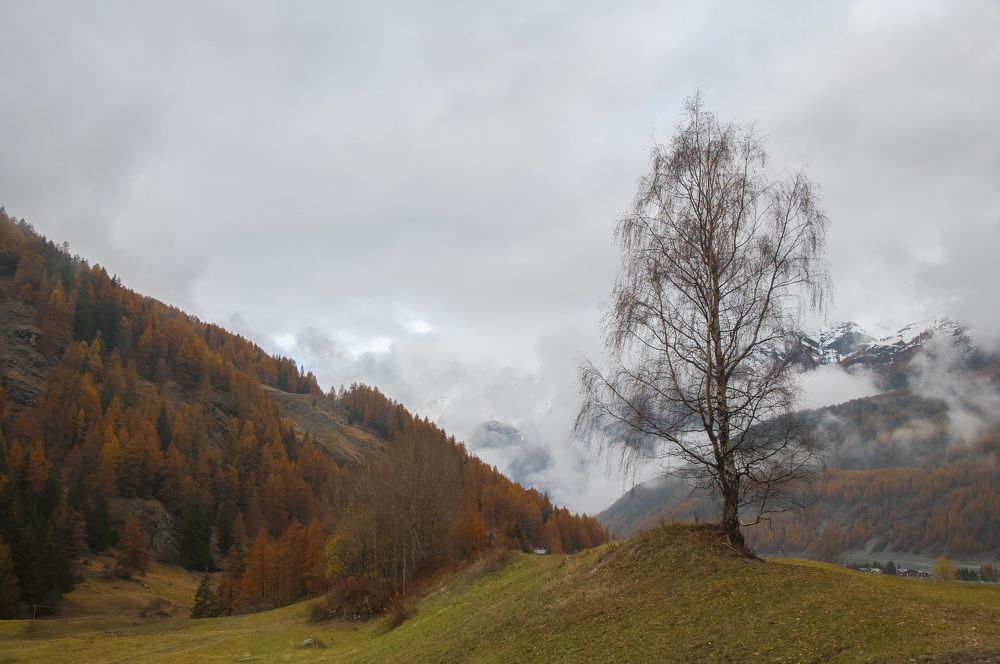 Photograph by Svetlana Rizzo