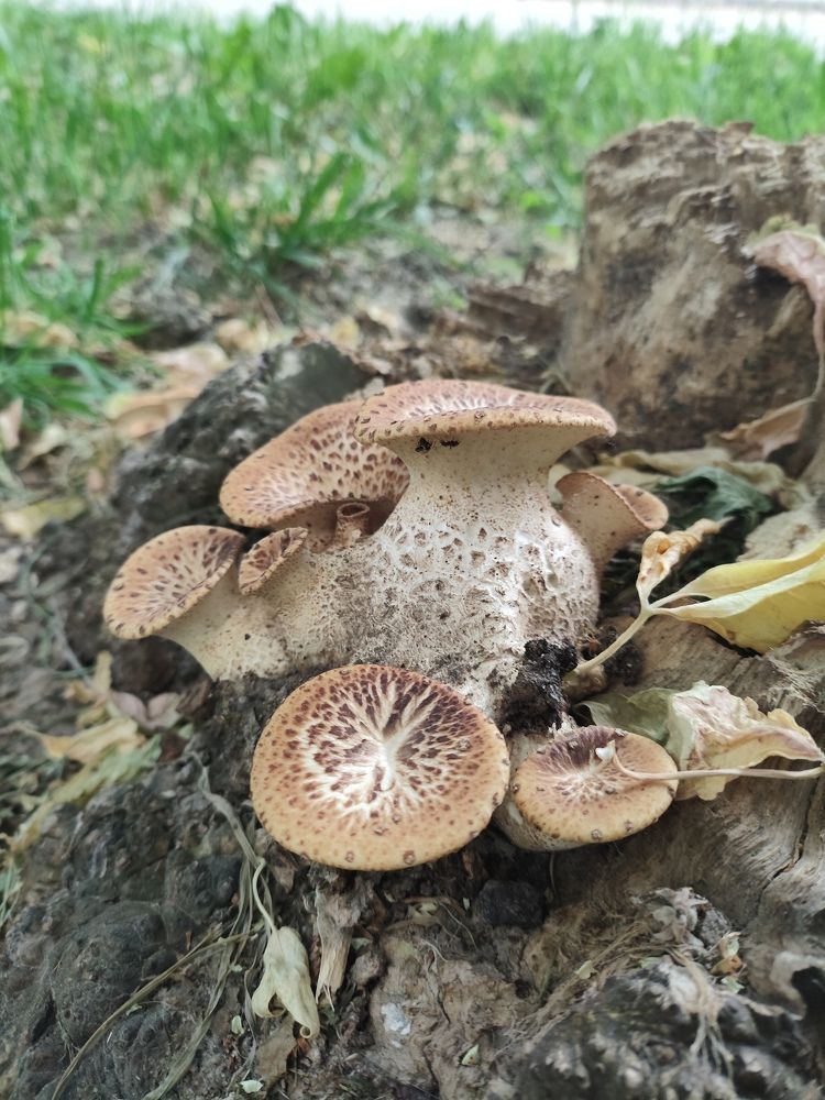 Photograph by Наталья