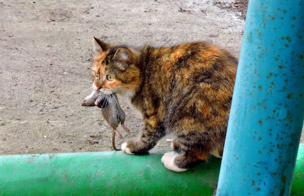 Photograph by Наталия Васильева