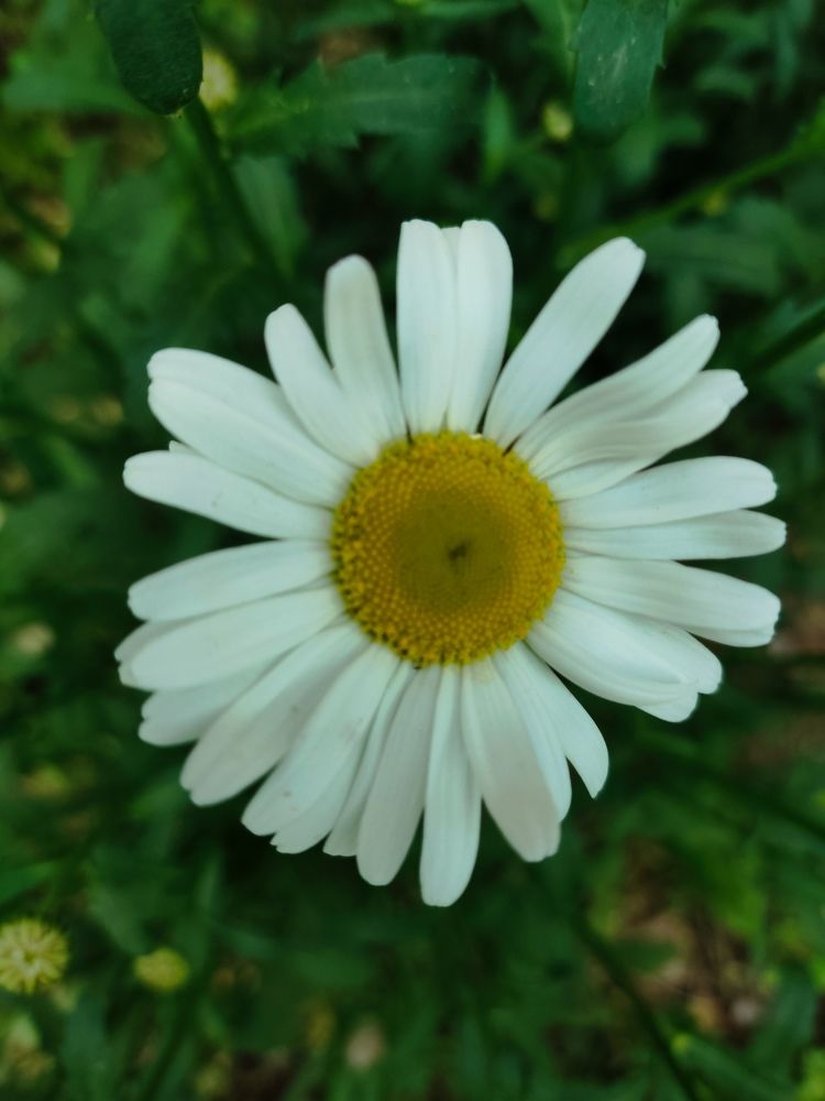 Photograph by Наталья