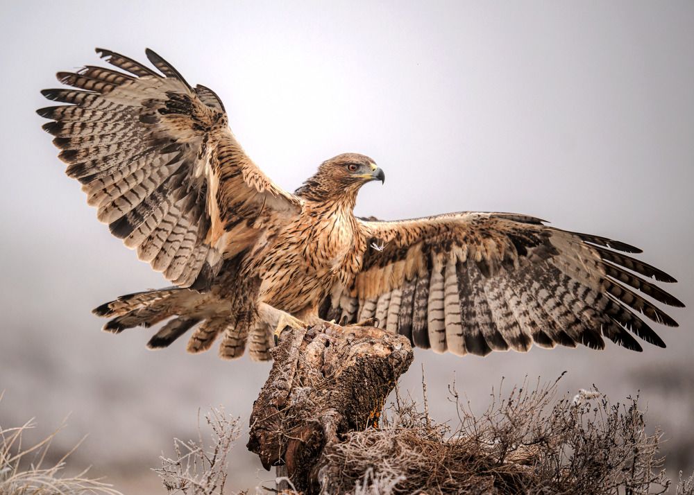 Shortly after Landing