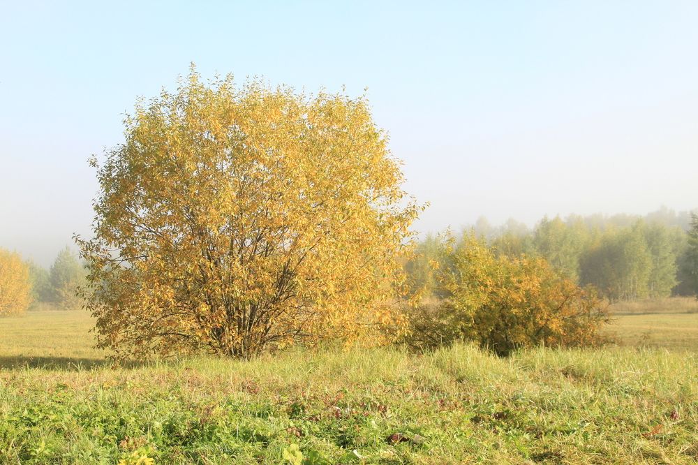 Photograph by Илья Беликов