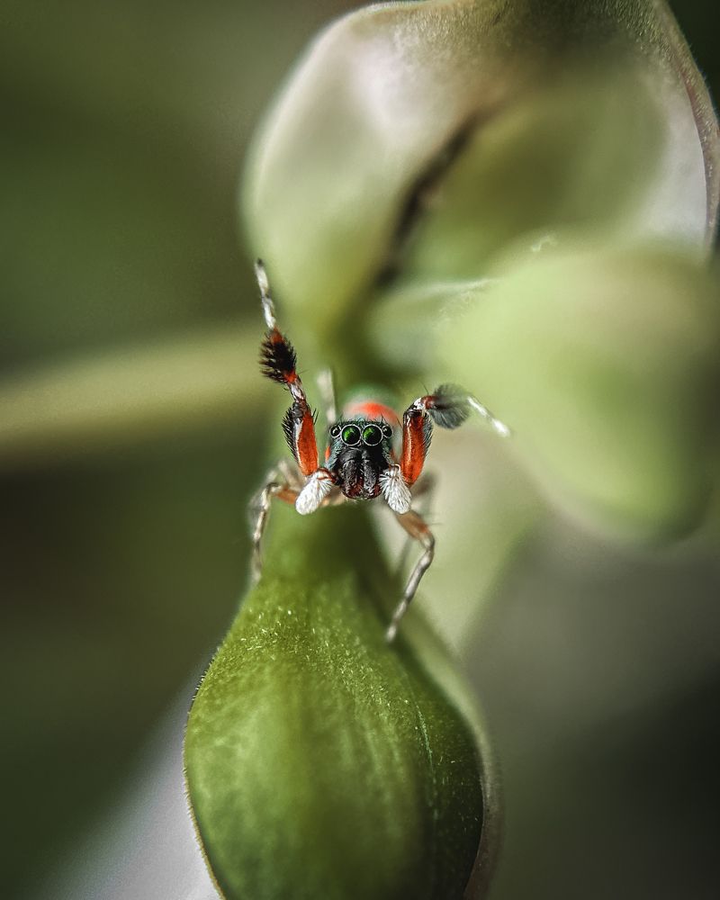 Photograph by Aaron R S