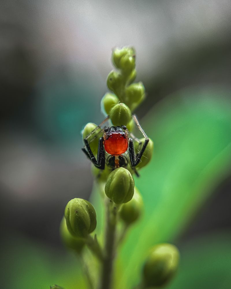 Photograph by Aaron R S