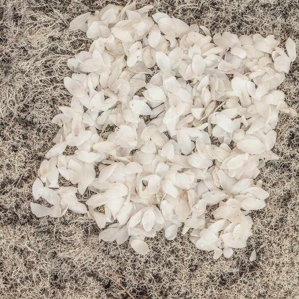 Photograph by Напалкин Станислав