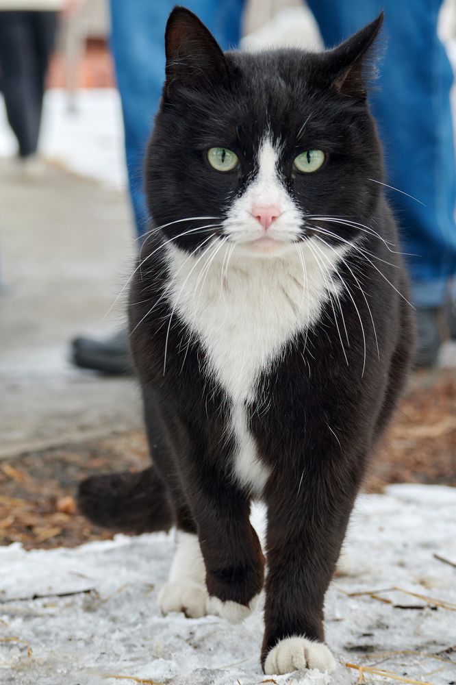 Photograph by Сергей Анисимов