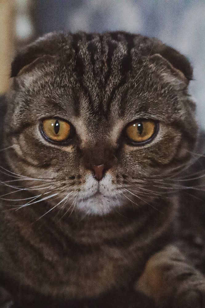 Photograph by Елена Рудкевич