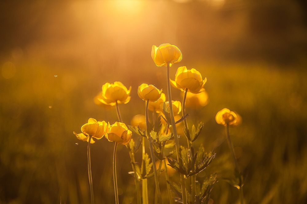 Photograph by Напалкин Станислав