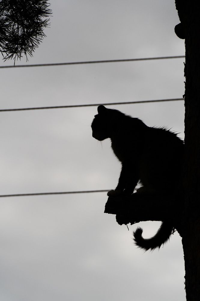 Photograph by Евгения Тупик