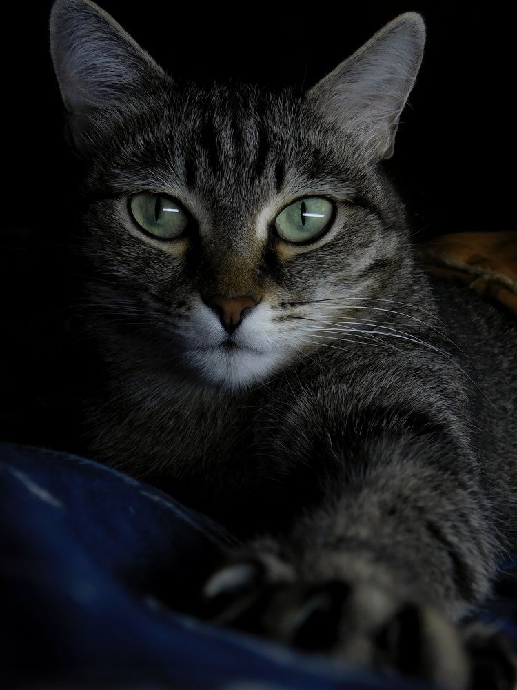 Photograph by Данила Аваргин