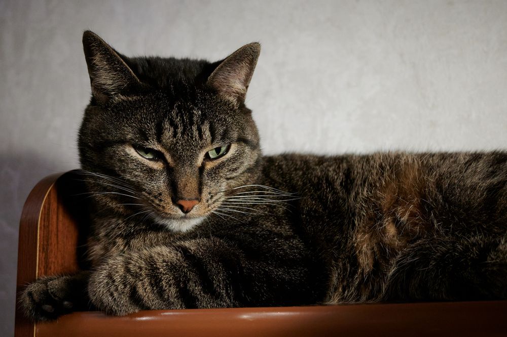 Photograph by Сергей Анисимов