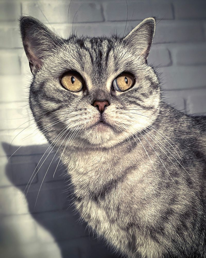 Photograph by Светлана Богомолова