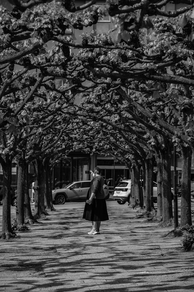 Photograph by Nikolay Surovtsev