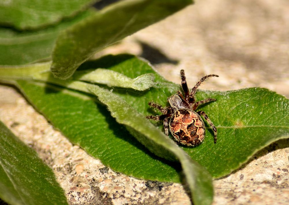 Фотография автора Оксана Льдинина