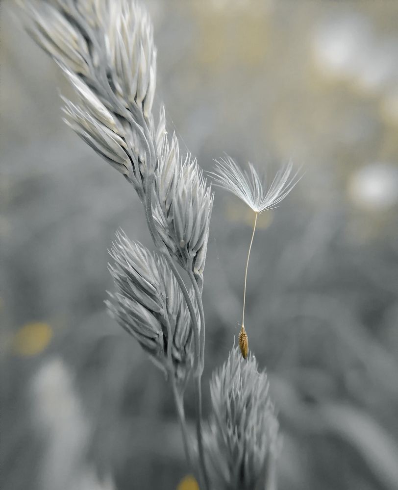 Photograph by Елена Казакова