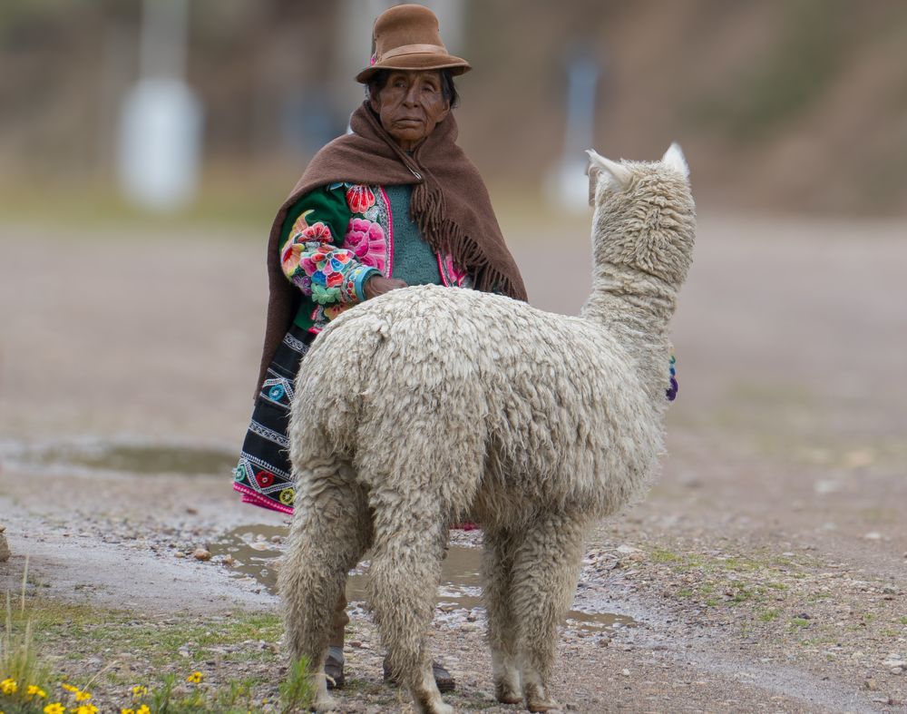 Photograph by Jeni Vladeva