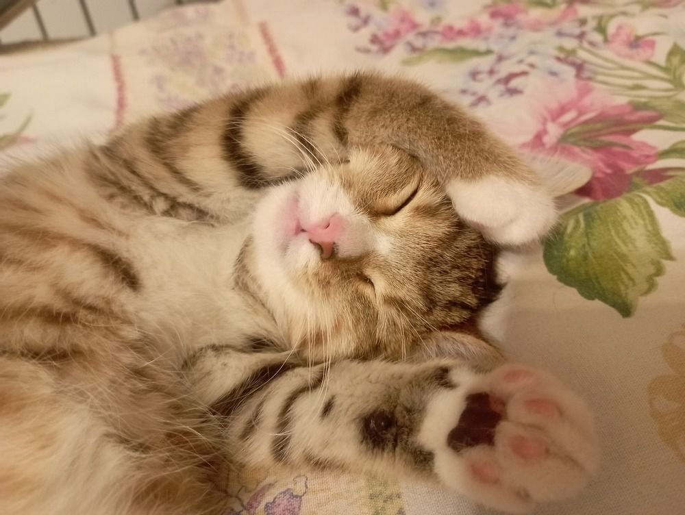 Photograph by Евгения Гриднева