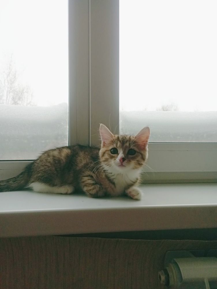 Photograph by Евгения Гриднева