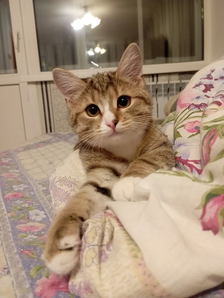 Photograph by Евгения Гриднева