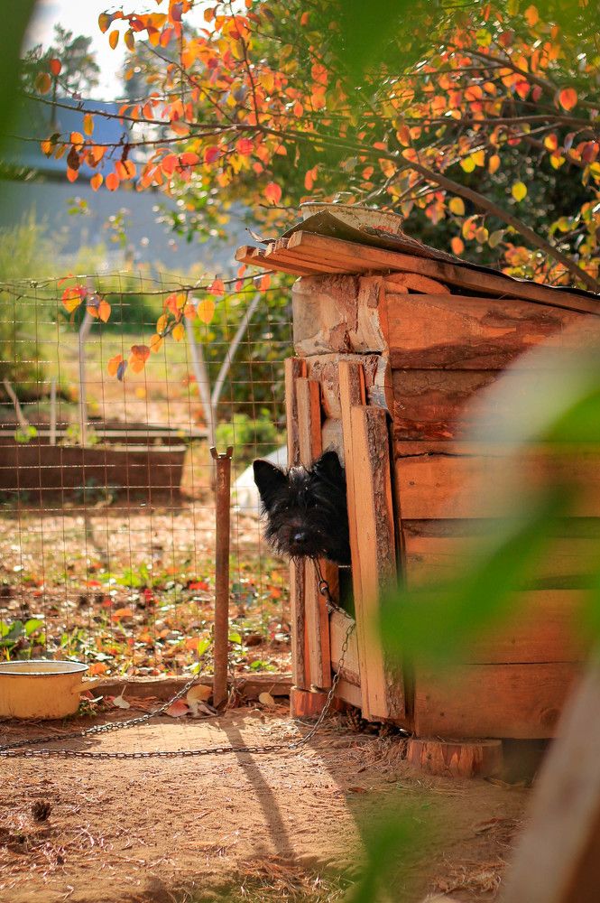 Photograph by Любовь Иванова