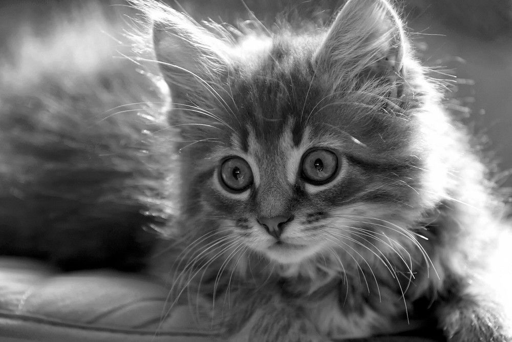 Photograph by Вадим Голосницкий