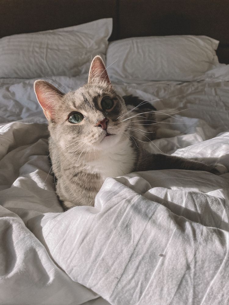 Photograph by Мария Петрова