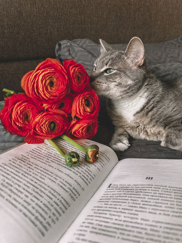 Photograph by Мария Петрова