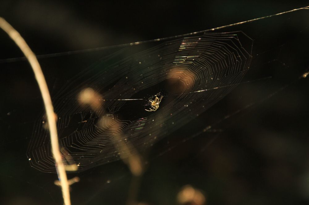 Photograph by Илья Беликов