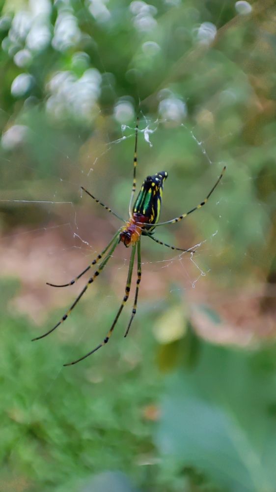 Photograph by Jahid Hasan Jamil