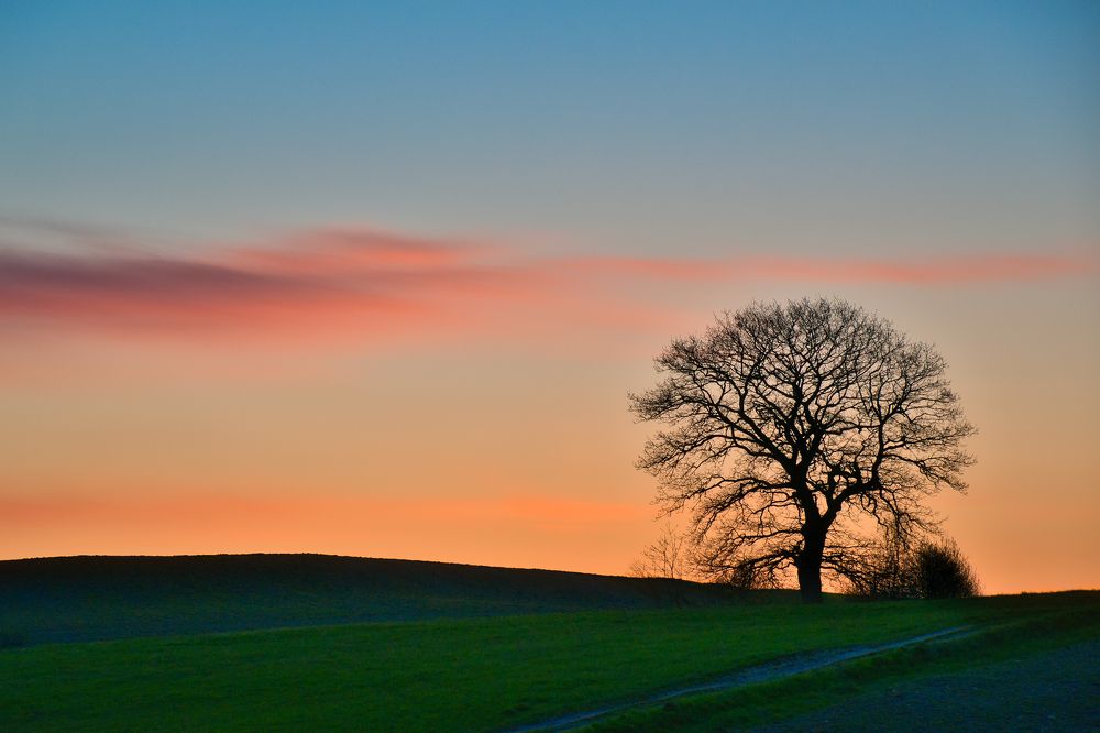 Photograph by Albina Kulikova