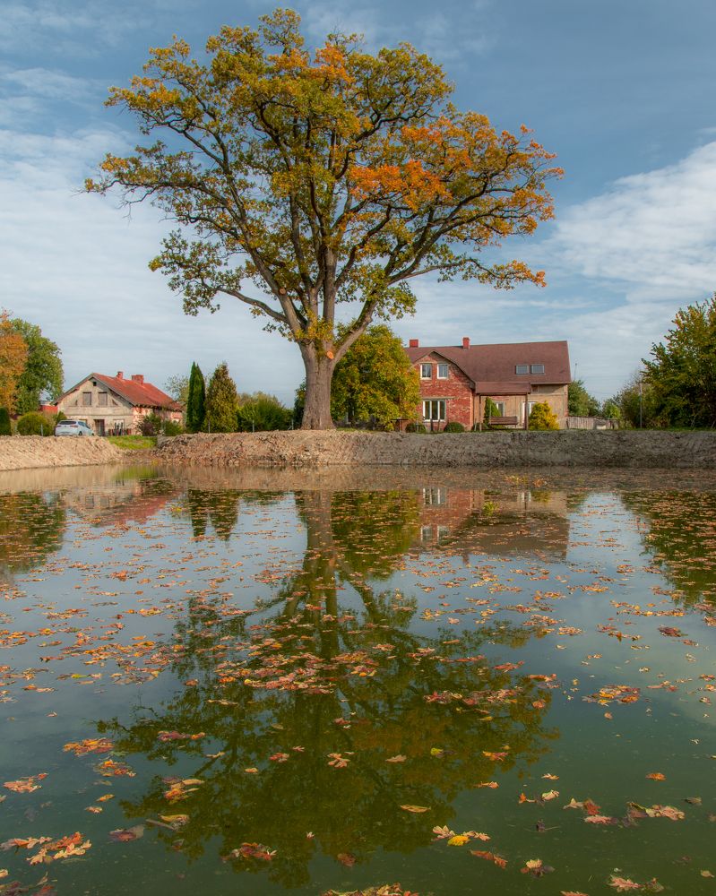 Photograph by Наталья Брюхненко