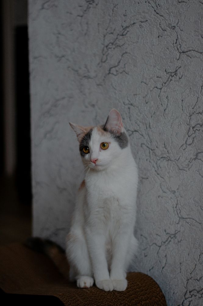 Photograph by Екатерина Котик