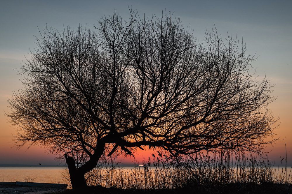 Поклон светилу