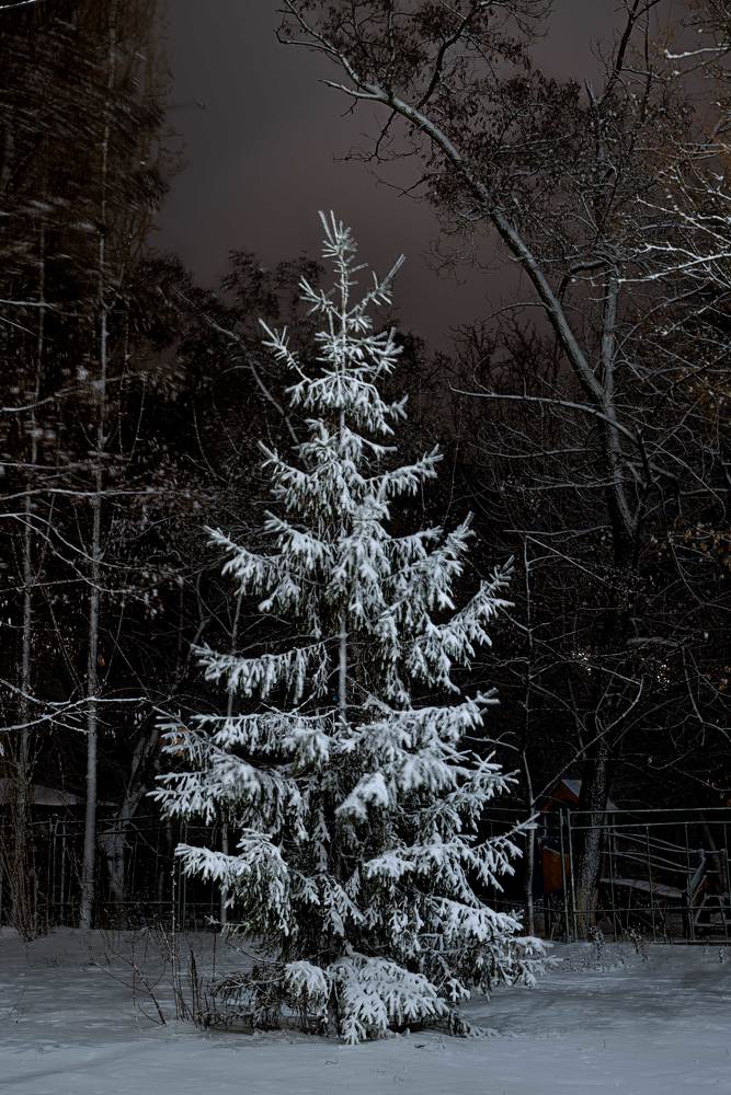 Фотография автора Константин Бобинский